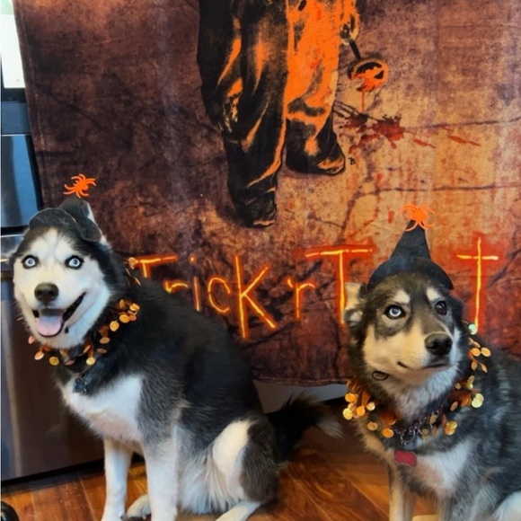 Meet your Posher, Candice - Picture 6 of 6